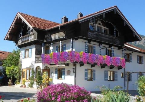 Haus Edelweiß Apartment in Salzburgerland