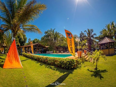 Garden, Garden, Swimming pool