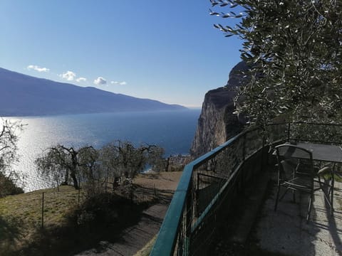 Lake view