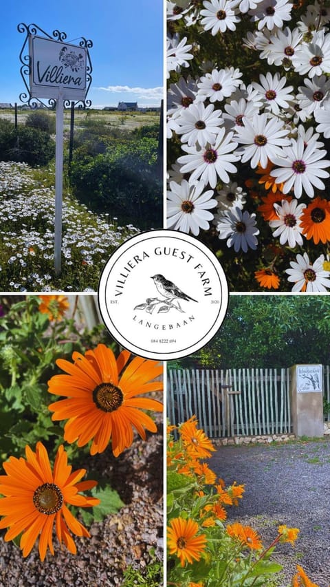 Villiera Guest Farm Apartment in Western Cape