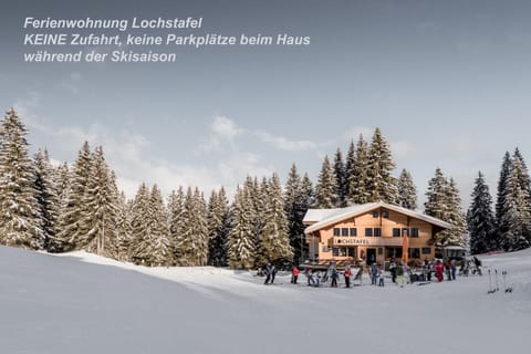 Ferienwohnung Lochstafel Apartment in Saanen