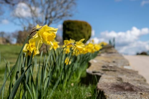 Nant Ucha Farm House in Llangollen