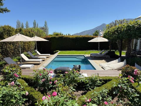Garden, Swimming pool