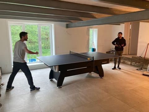 Game Room, Table tennis, Table tennis