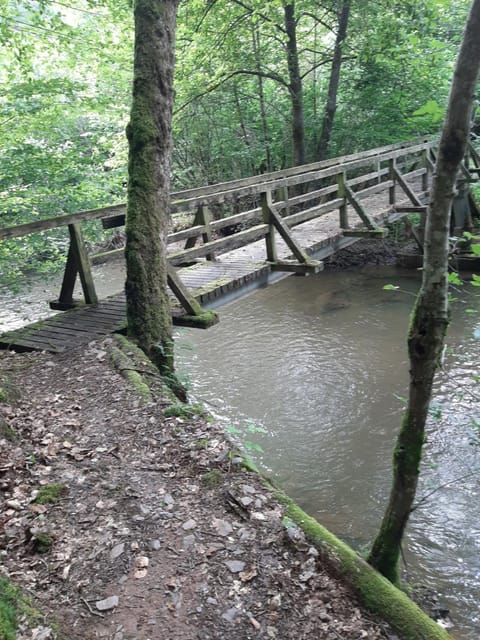 Haus - Pantenburg Bed and Breakfast in Vulkaneifel