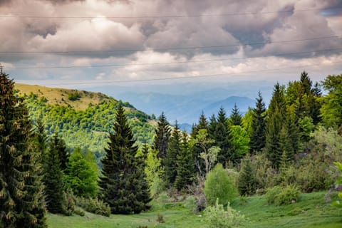 Apartments View Dvori E25 Apartment in Serbia