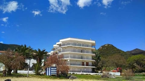 Property building, Spring