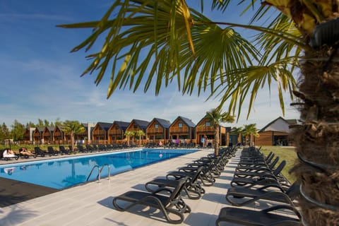 Day, Pool view, Swimming pool, sunbed