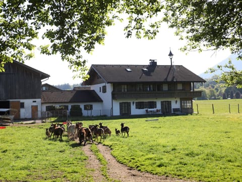 Kleinreiterhof Ferienwohnungen Limmer Apartment in Bad Reichenhall