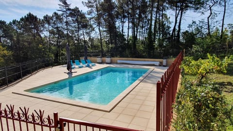Spring, Day, Natural landscape, Garden, Garden view, Pool view, Swimming pool, sunbed