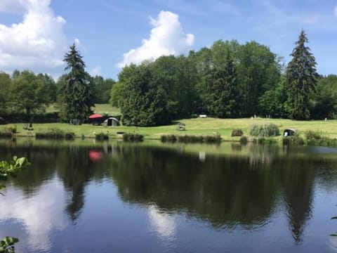 Lake view