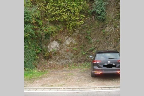 Ferienwohnung Rheinblick Bacharach am Rhein Apartment in Mainz-Bingen