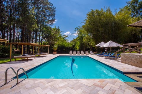 Pool view, Swimming pool