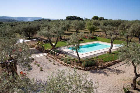 Bird's eye view, Pool view, Swimming pool