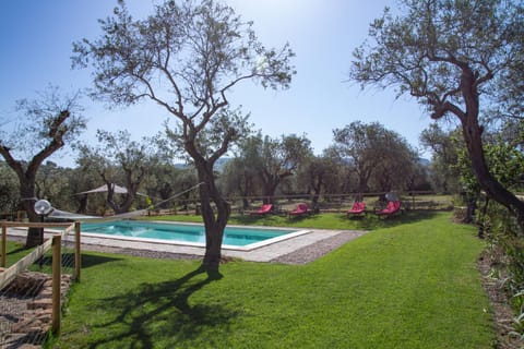 Garden, Swimming pool