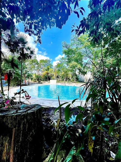 Swimming pool, Swimming pool