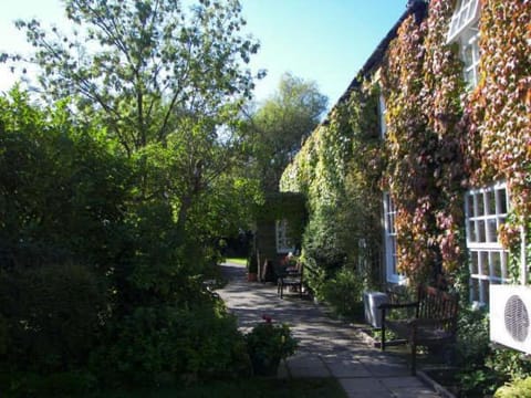 Property building, Patio, Day