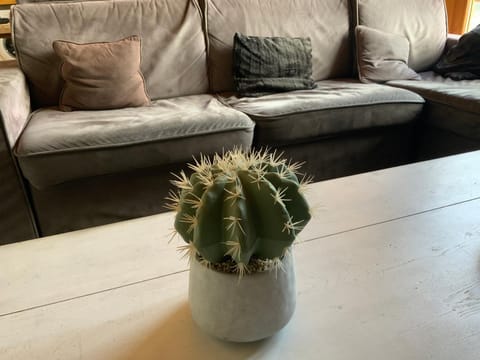 Mont Blanc Apartment in Landry