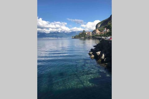 Duplex en station vue sur lac Leman Apartment in Haute-Savoie