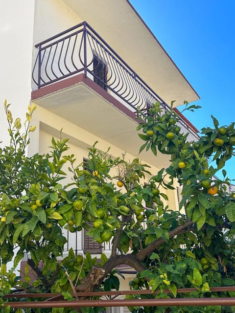 Niko Apartments Apartment in Dubrovnik-Neretva County