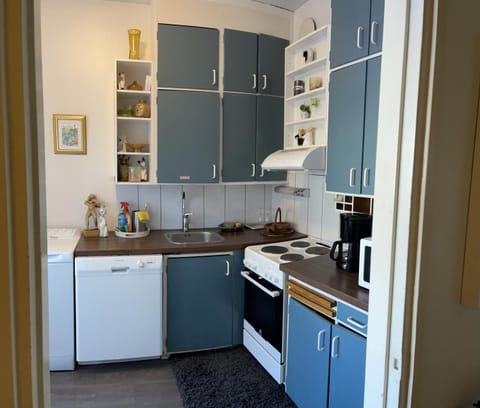 Yksiö 1 km jokirannasta föriltä/ 2 km torilta Apartment in Turku