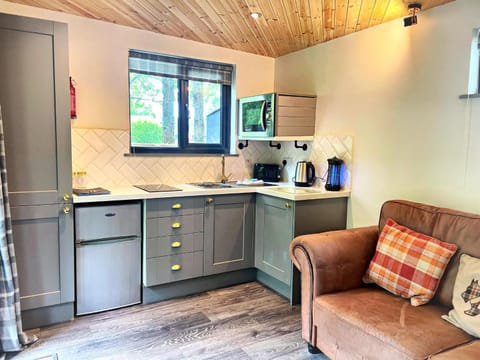 Kitchen or kitchenette, minibar, pet friendly, stove, toaster