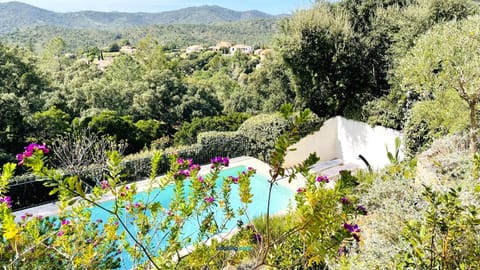 Garden, Garden, Garden view, Garden view, Swimming pool, sunbed