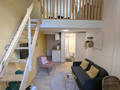 Duplex, bohème et fonctionnel proche Gratte-Ciel Apartment in Villeurbanne
