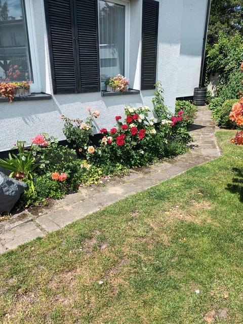 Apartament STOKROTKA Apartment in Pomeranian Voivodeship