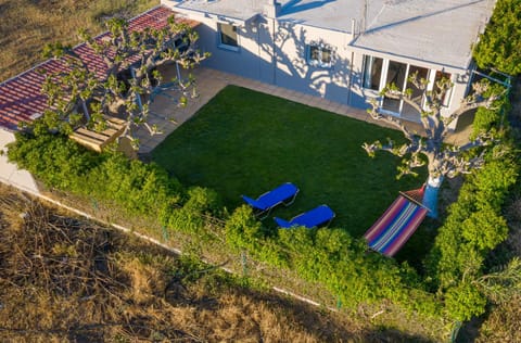 Property building, Bird's eye view