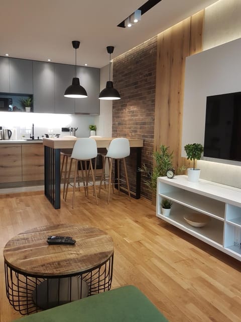 Tesla 3 Apartment Apartment in Novi Sad