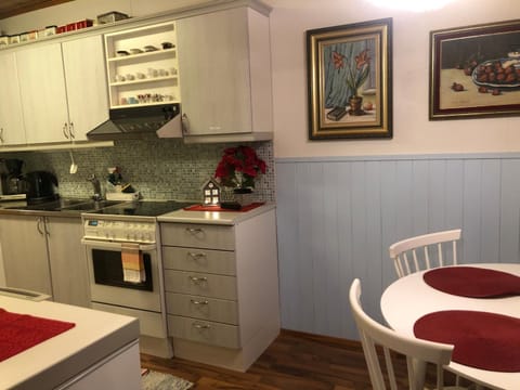 Arctic Circle Apartment Apartment in Rovaniemi