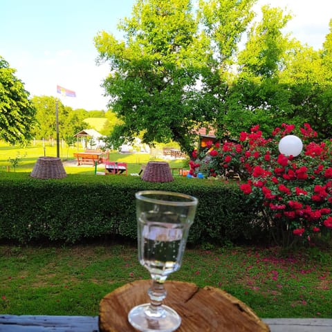 Spring, Day, Garden, Garden, Non alcoholic drinks