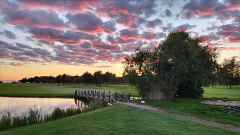 Golfcourse, Golfcourse, Other, Sunset