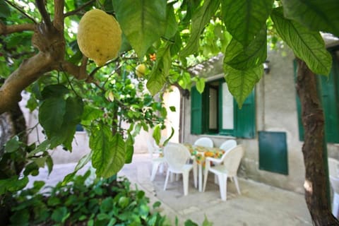 Inner courtyard view