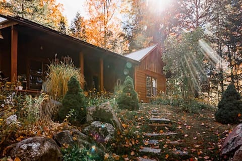 Property view
