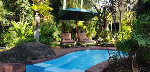 Garden, Pool view, Swimming pool, sunbed
