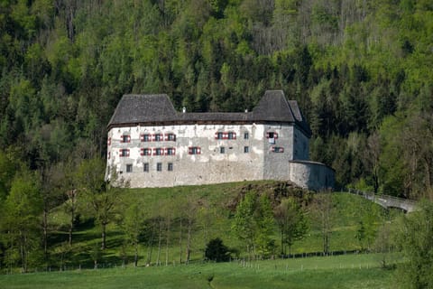 Ferienwohnung Nagerlhof Apartment in Bad Reichenhall
