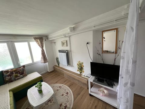 Apartments Obradović Milan Apartment in Montenegro