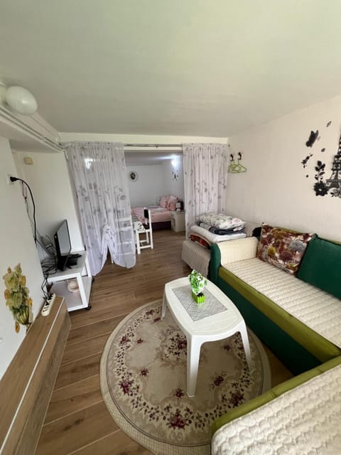 Apartments Obradović Milan Apartment in Montenegro