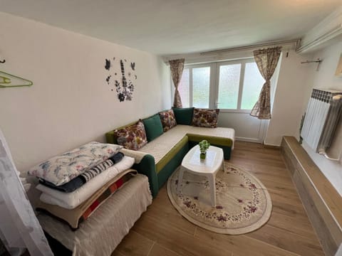 Apartments Obradović Milan Apartment in Montenegro