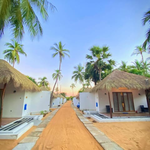 Garden, Garden view, sunbed