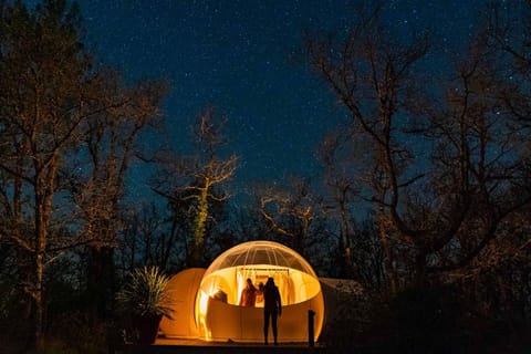 Night, People, Natural landscape