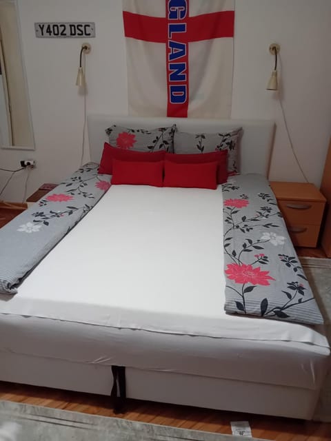 Vila Mala Evropa Hostel in Serbia