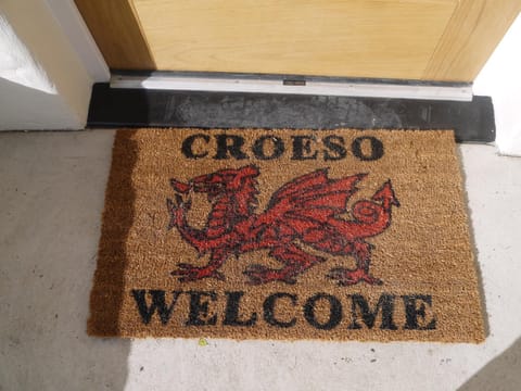 Y Felin Cottage House in Cardigan