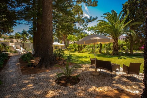Natural landscape, Garden, Garden, Garden view