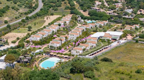 Day, Garden, Garden view, Pool view, Swimming pool