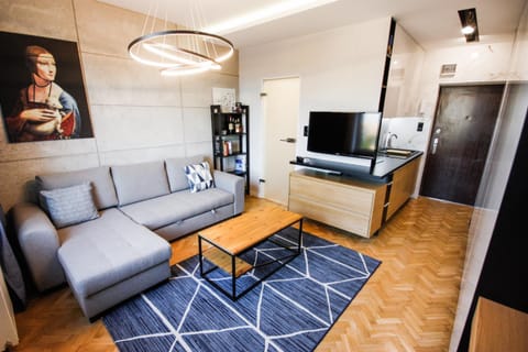 TV and multimedia, Living room, Photo of the whole room, Seating area, Dining area, Evening entertainment