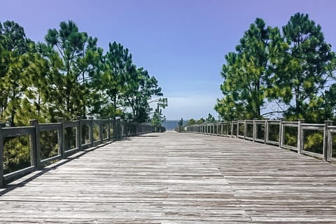 WindMark - Sweet N Salty House in Port Saint Joe