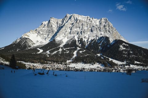 Winter, Mountain view